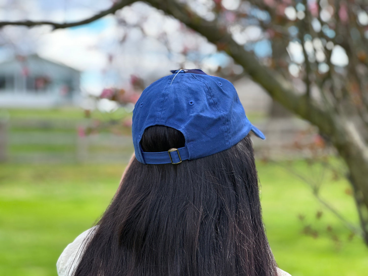 Cincy Embroidered Hat
